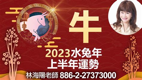 2023水兔年|2023是什么年？老人說“迎水兔 春秋不見天”